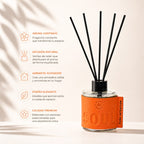 Difusor de Espirales Aromáticas La Casa de los Aromas Soul
