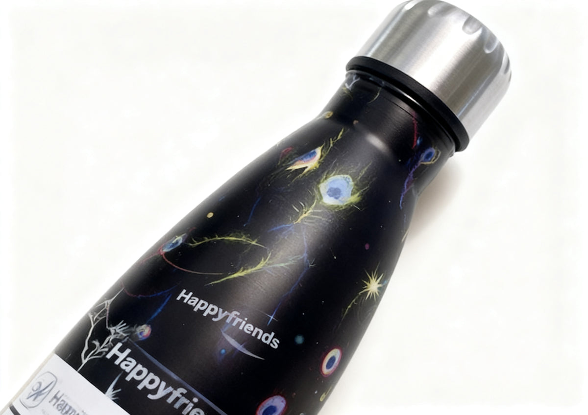 Botella Agua Acero Inox SKY 500
