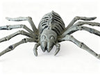 Esqueleto de Araña Antiguo para Halloween 1pc