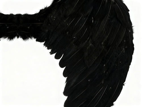 Alas de Ángel con Plumas Negras