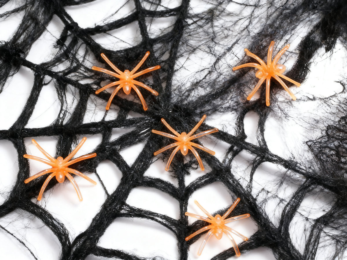 Tela de Araña Negra Halloween 100g con 10 Arañas