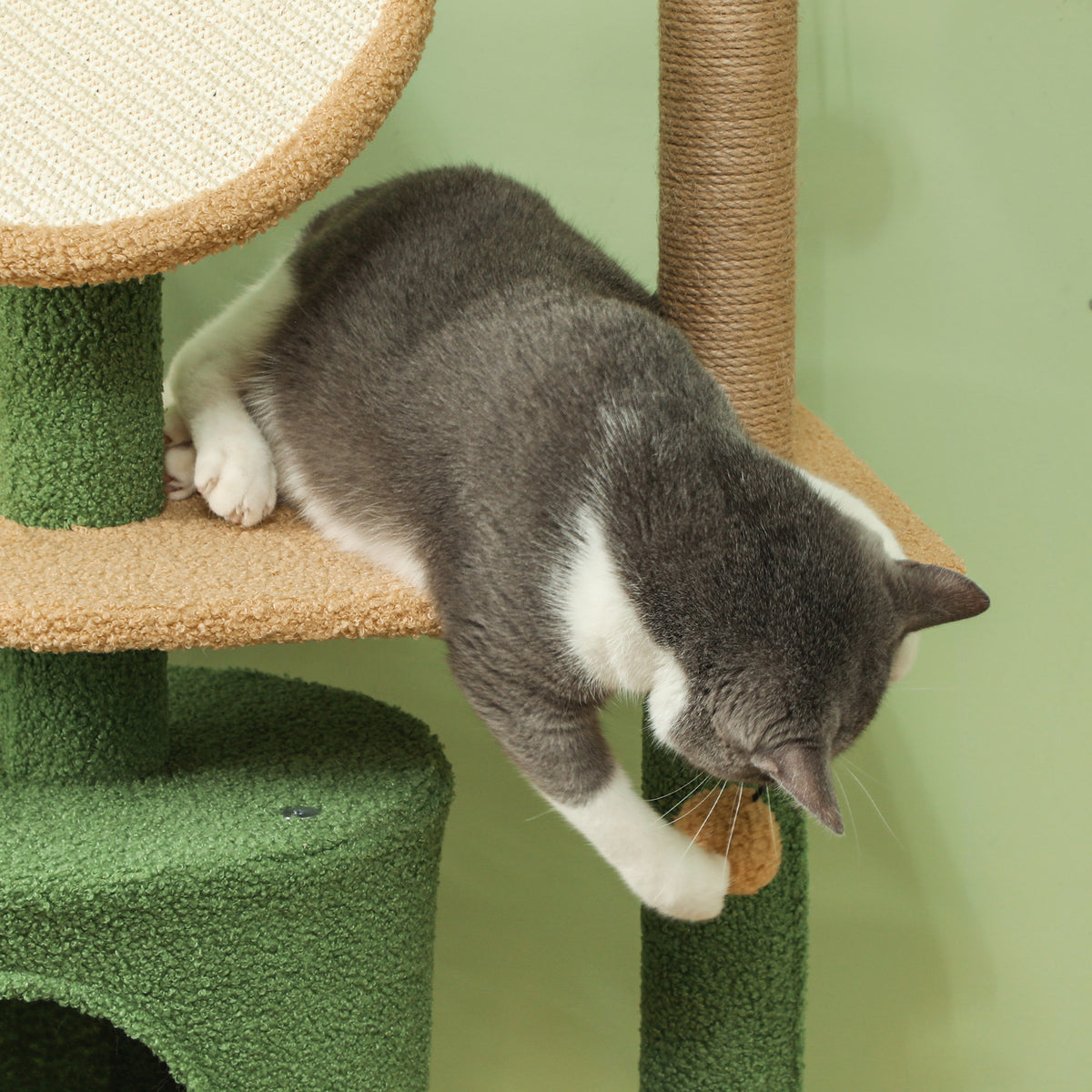 Arbol de gatos de 139 cm con cueva para gatos, pelota de juego, árbol de gatos con postes de rascar, para gatos de hasta 5 kg, color verde
