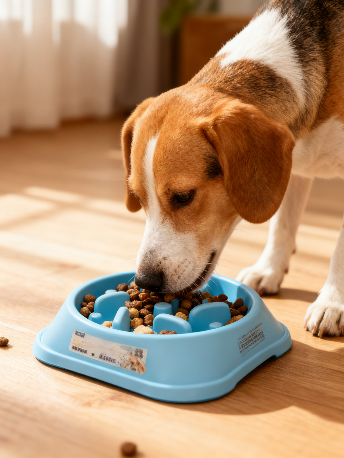 Bol de alimentación lenta azul para mascotas