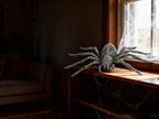 Esqueleto de Araña Antiguo para Halloween 1pc